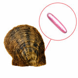 Stick Pearl