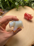 Crystal Rhino