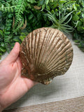 Decoupage Shell