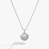 Salt + Sea 'Seashells Are Love Letters In The Sand' Seashell Locket Pendant